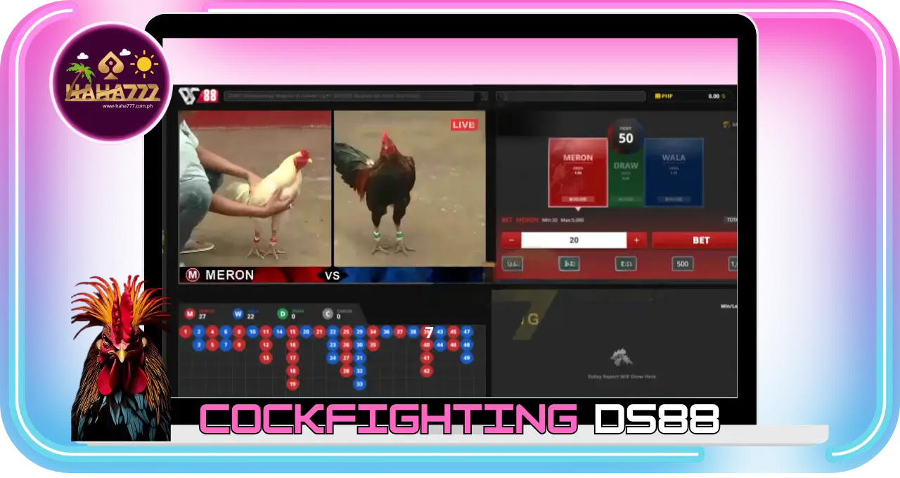 Cockfighting Ds88